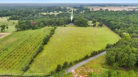 Other - 136 Brannon Rd, Lucedale, MS 39452 photo 9 of 10