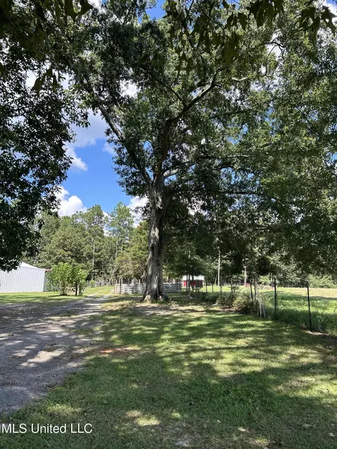Exterior - 136 Brannon Rd, Lucedale, MS 39452 photo 9 of 9
