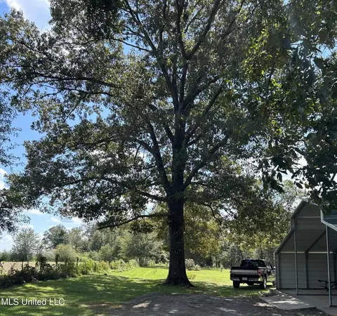 Exterior - 136 Brannon Rd, Lucedale, MS 39452 photo 6 of 9