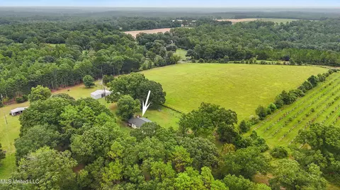 Other - 136 Brannon Rd, Lucedale, MS 39452 photo 7 of 10