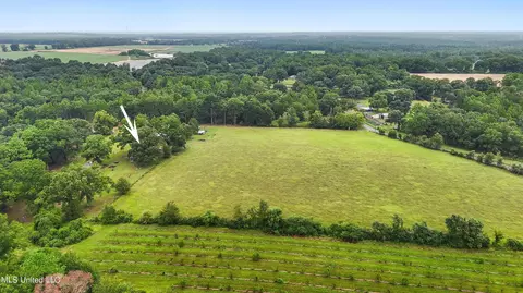 Other - 136 Brannon Rd, Lucedale, MS 39452 photo 8 of 10