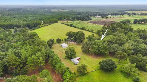 View/Area - 136 Brannon Rd, Lucedale, MS 39452 photo 1 of 1