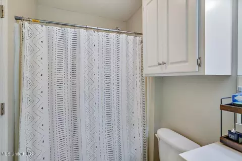 Bath - 156 Cedar Spring Cir, Pearl, MS 39208 photo 2 of 3