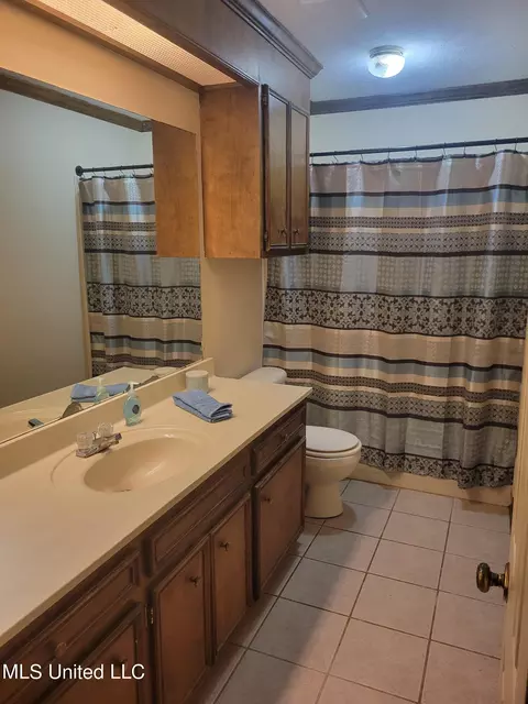 Bath - 401 Hawthorne Dr, Madison, MS 39110 photo 1 of 2