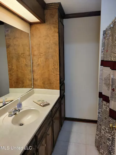 Bath - 401 Hawthorne Dr, Madison, MS 39110 photo 2 of 2