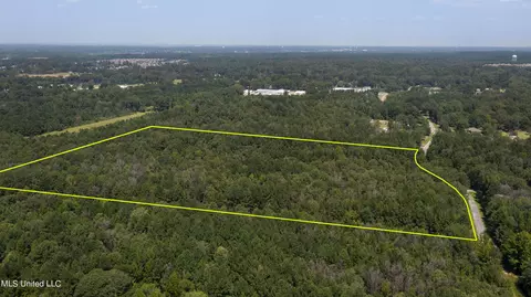Jamison Court, Brandon, MS 39042 photo 6