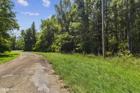 Jamison Court, Brandon, MS 39042