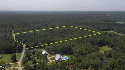 Jamison Court, Brandon, MS 39042 photo 16