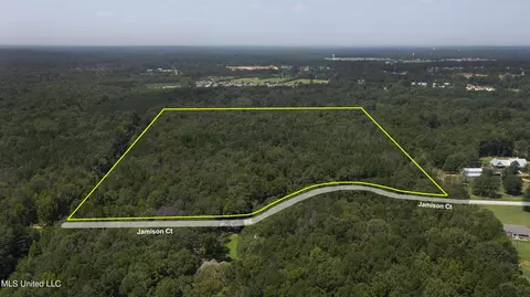 Jamison Court, Brandon, MS 39042 photo 22