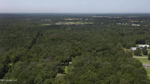 Jamison Court, Brandon, MS 39042 photo 21