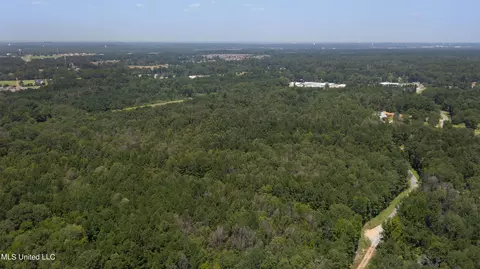 Jamison Court, Brandon, MS 39042 photo 3