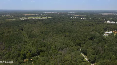 Jamison Court, Brandon, MS 39042 photo 23