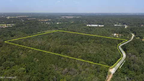 Jamison Court, Brandon, MS 39042 photo 4