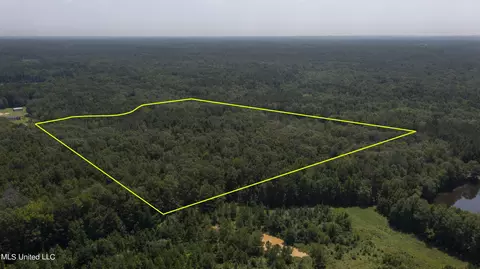 Jamison Court, Brandon, MS 39042 photo 12