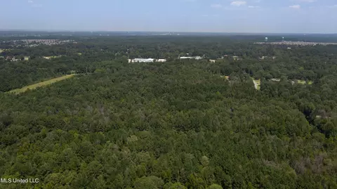 Jamison Court, Brandon, MS 39042 photo 7