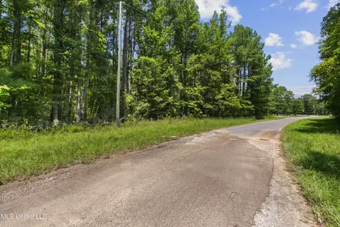Jamison Court, Brandon, MS 39042 photo 2