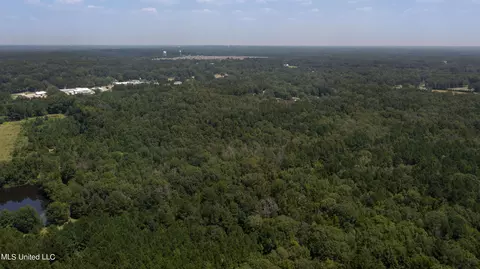 Jamison Court, Brandon, MS 39042 photo 9