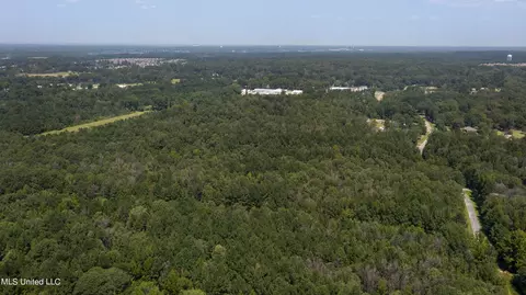 Jamison Court, Brandon, MS 39042 photo 5