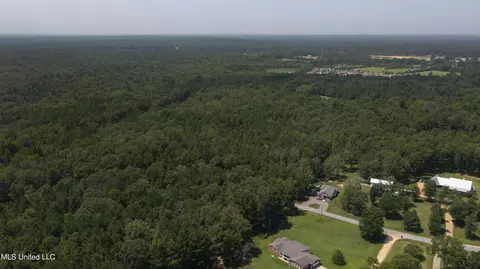Jamison Court, Brandon, MS 39042 photo 19