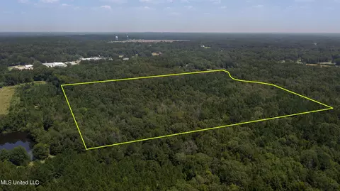 Jamison Court, Brandon, MS 39042 photo 10
