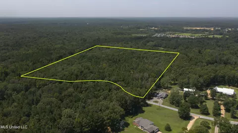 Jamison Court, Brandon, MS 39042 photo 20