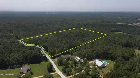 Jamison Court, Brandon, MS 39042 photo 18