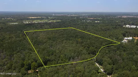 Jamison Court, Brandon, MS 39042 photo 24