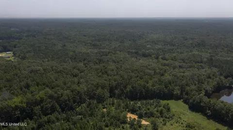 Jamison Court, Brandon, MS 39042 photo 11