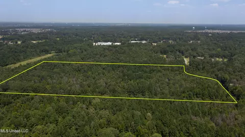 Jamison Court, Brandon, MS 39042 photo 8