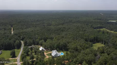 Jamison Court, Brandon, MS 39042 photo 15