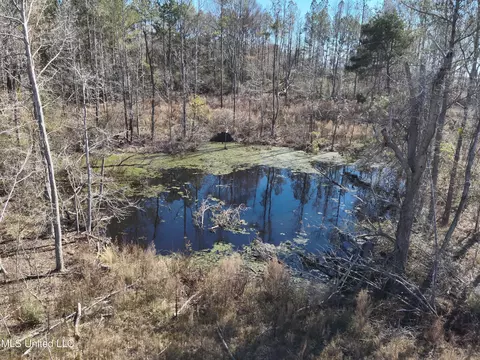 161 S S Co Road 116 A, Magee, MS 39111 photo 5