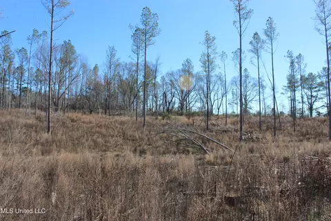 161 S S Co Road 116 A, Magee, MS 39111 photo 8
