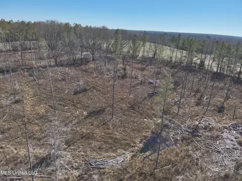 161 S S Co Road 116 A, Magee, MS 39111 photo 4