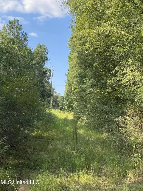 Owl Hoot Road, Perkinston, MS 39573