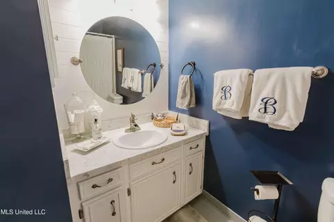 Bath - 119 Long Meadow Rd, Brandon, MS 39042 photo 3 of 4