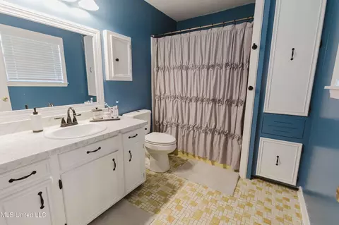 Bath - 119 Long Meadow Rd, Brandon, MS 39042 photo 4 of 4