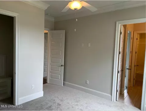 103 Venice Way, Madison, MS 39110 photo 14