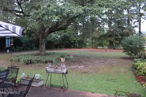 1911 Mount Pleasant Rd, Hernando, MS 38632 photo 54