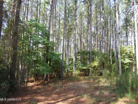 Pine Ridge Cove, Iuka, MS 38852 photo 2