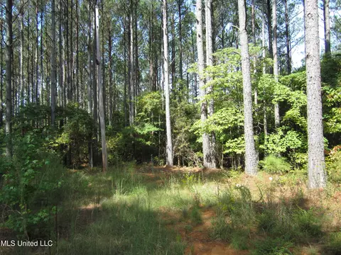 Pine Ridge Cove, Iuka, MS 38852 photo 3