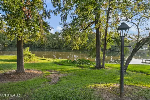 101 Oriole Pl, Brandon, MS 39047 photo 51