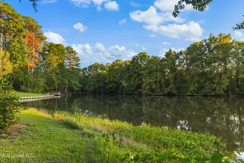 101 Oriole Pl, Brandon, MS 39047 photo 70