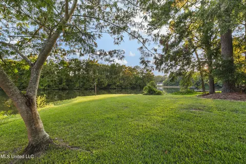 101 Oriole Pl, Brandon, MS 39047 photo 66
