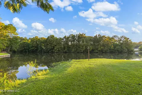 101 Oriole Pl, Brandon, MS 39047 photo 67