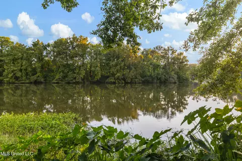 101 Oriole Pl, Brandon, MS 39047 photo 69