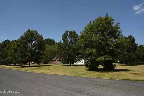 3374 Oak Leaf Dr, Olive Branch, MS 38654 photo 28