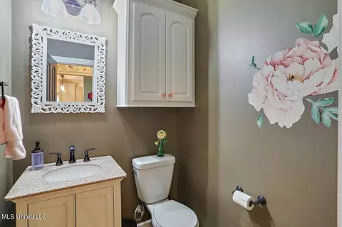 Bath - 102 Savoy Park, Madison, MS 39110 photo 1 of 4