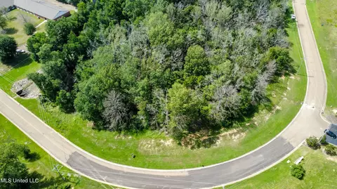 110 Woodchase Park Dr, Clinton, MS 39056