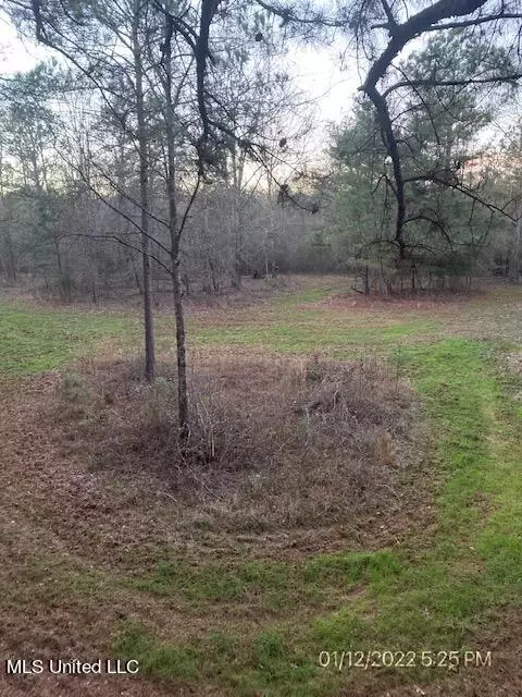 0000 W Adams Station Rd, Edwards, MS 39066 photo 2