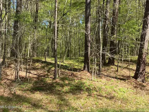 0000 W Adams Station Rd, Edwards, MS 39066
